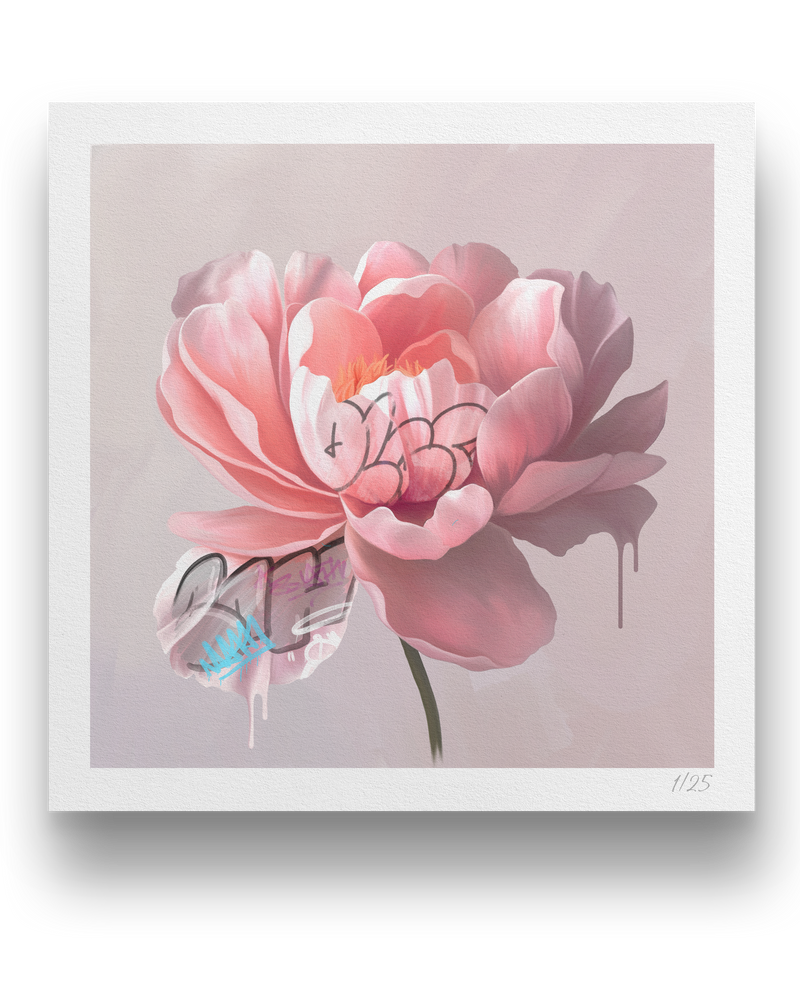 Bloom