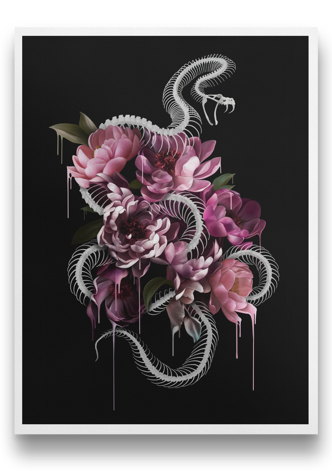 Peonies & Pit Vipers